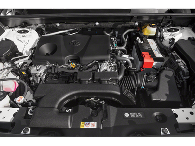 2019 Toyota RAV4 XLE Preferred Owners Prtfolio