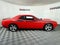 2023 Dodge Challenger R/T PLUS