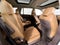 2017 Buick Enclave Leather Group