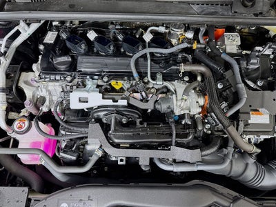 2024 Toyota Prius XLE