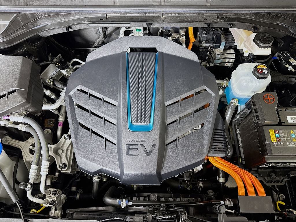 2019 Kia Niro EV EX